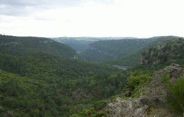 LES GORGES DE TREVEZEL -gard