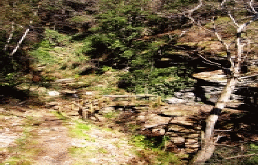 SAINT-ANDRE-DE-VALBORGNE-gard