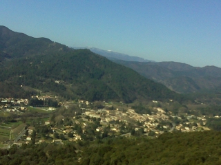 SAINT-JEAN-DU-GARD - BOIS DE ROUVILLE-gard