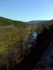 SAINT-JEAN-DU-GARD - BOIS DE ROUVILLE-gard