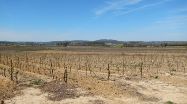 COLLORGUES - CHATEAU DE CASTELNAU-gard