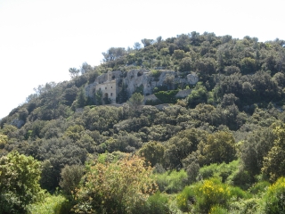 LIRAC - LA MONTAGNE-gard