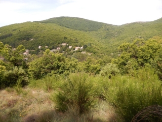 PONT D HERAULT - ST-ANDRE-DE-MAJENCOULES-gard