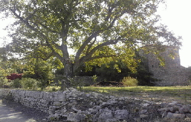 ASPERE - GROTTE DE PARIS-gard