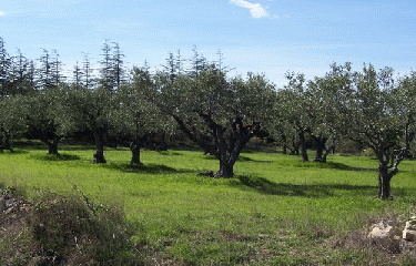 ASPERE - GROTTE DE PARIS-gard