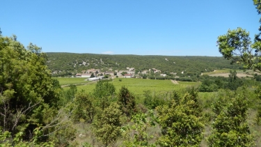 SAINT-CHRISTOL-DE-RODIERES-gard