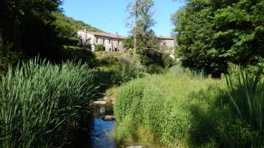 ST-ANDRE-DE-MAJENCOULES - COL DU DEVINAYRE-gard