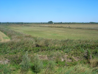 MARAIS DE COUGOURLIER-gard