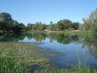 VALLABREGUES - LES BERGES DU RHONE-gard