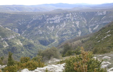 VALLEE DE LA VIS - CAUSSE DE BLANDAS-gard