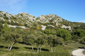 ARAMON - PLANE D HOUME-gard