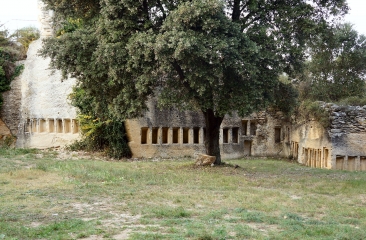 MONTFRIN - RUCHER DE MONTAGNAC -gard