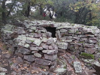 DOLMEN DE LA GRANDE PALLIERE-gard