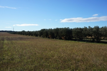 BELLEGARDE - AUTOUR DE LA COSTIERE-gard