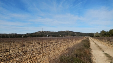 ESTEZARGUES- LE MOURE DE LA COUDETTE-gard