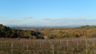 SAINT-MAURICE-DE-CAZEVIEILLE-gard