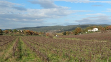 SAINT-MAURICE-DE-CAZEVIEILLE-gard