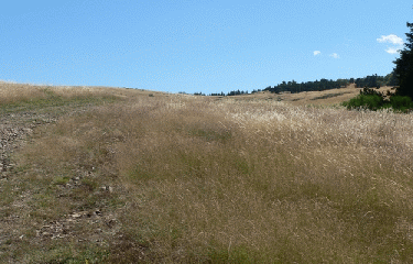 GR67 - PAYS CEVENOL-gard