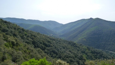 ST-MARTIAL LE PEZE-gard