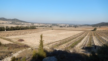 TAVEL - DU VIGNOBLE AU CADRAN-gard