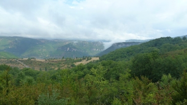TREVES - COL DE LA PIERRE PLANTEE-gard