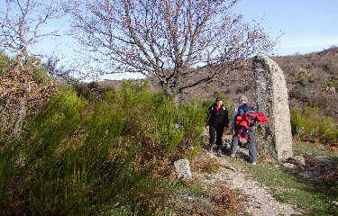 SAINT-ROMAN-DE-CODIERES-gard
