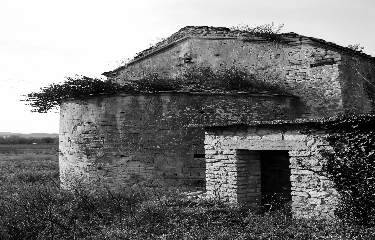 AUTOUR DE CARMIGNAN-gard