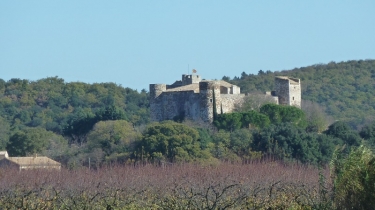 FLAUX - LES BOIS DE VALLABRIX-gard