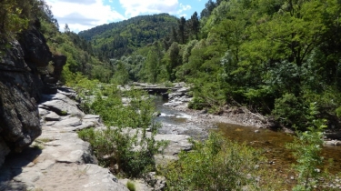 PEYREMALE - LES GORGES DU LUECH-gard
