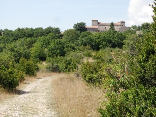 CHEMIN DE ST GUILHEM LE DESERT - ETAPE 9-gard