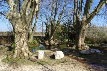 JONCQUIERES-SAINT-VINCENT - LA SOURCE DE TAVIE-gard