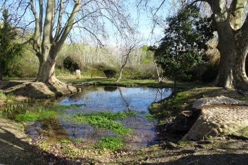 JONCQUIERES-SAINT-VINCENT - LA SOURCE DE TAVIE-gard