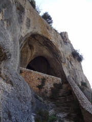 LA BAUME ST VEREDEME - LA FORET DE PINS CORSE-gard