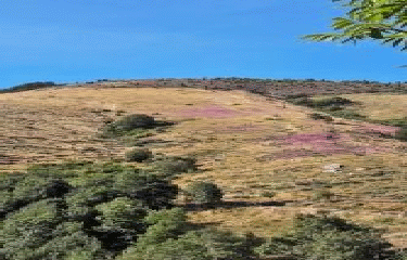 SENTIER DU FRECHINET-gard