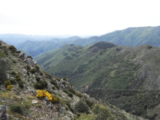 BERTHEZENE - MONT AIGOUAL - BOUCLE DES QUATRE MILLE MARCHES-gard
