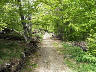 BERTHEZENE - MONT AIGOUAL - BOUCLE DES QUATRE MILLE MARCHES-gard