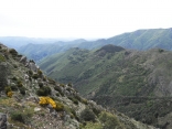 BERTHEZENE - MONT AIGOUAL - BOUCLE DES QUATRE MILLE MARCHES-gard