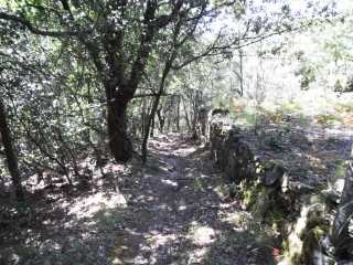 BALADE A SAINT-BRESSON-gard