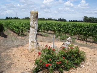 JONQUIERES-SAINT-VINCENT - LA VOIE DOMITIA-gard