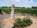 JONQUIERES-SAINT-VINCENT - LA VOIE DOMITIA-gard