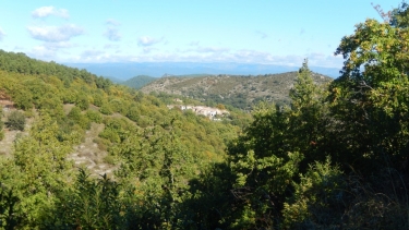 LES SUBES ET COURRY-gard