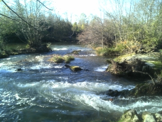 VIC-LE-FESQ - SERRE D ISSERT - NOTRE DAME DE PRIME COMBE-gard