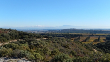 SAINT-LAURENT-DES-ARBRES - CHAPELLE MAYRAN-gard