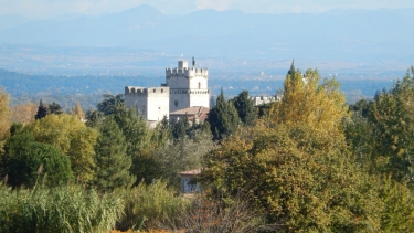 SAINT-LAURENT-DES-ARBRES - CHAPELLE MAYRAN-gard