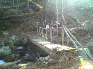 COL DE MOUZOULES-gard