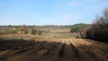 DE CAVILLARGUES AU VIEUX SABRAN-gard
