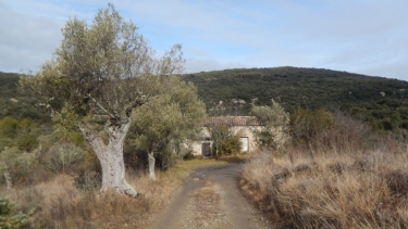 SAINT-BRES - LES CRETES DE L UZEGE-gard