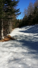 SORTIE RAQUETTE A PARTIR DU COL DE LA SERREYREDE - ESPEROU-gard
