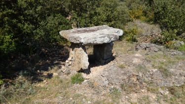 ST-JEAN-DE-VALERISCLE - LE FAUTEL-gard