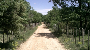 BROUZET-LES-QUISSAC-gard